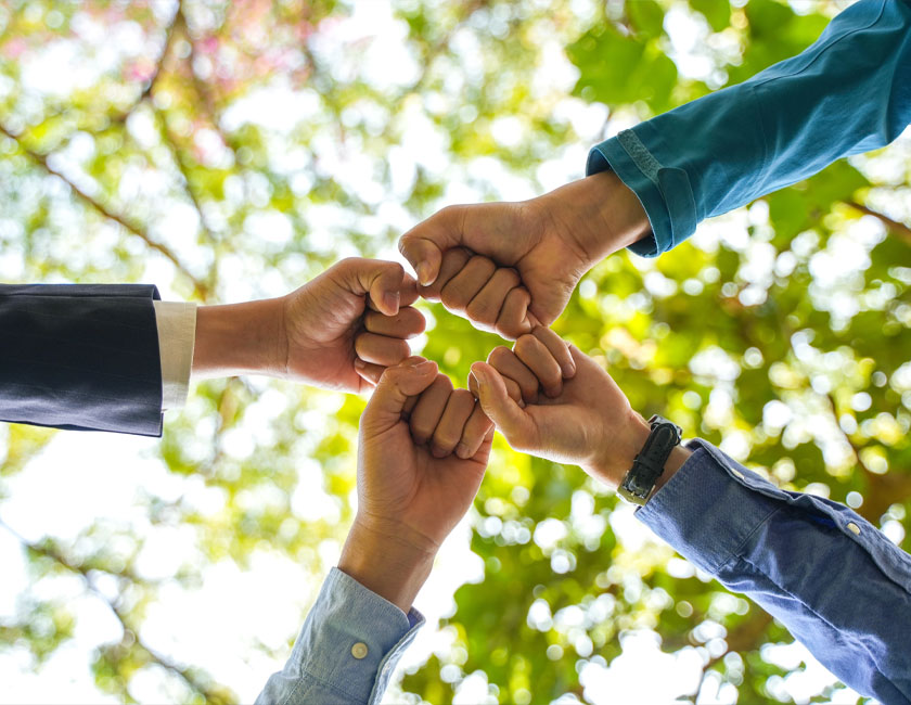 Wizualizacja osiedla Aurora